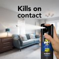thumbnail image 4 of Raid Max Flying Insect Killer, Kills Listed Bugs on Contact, 500g, 4 of 9
