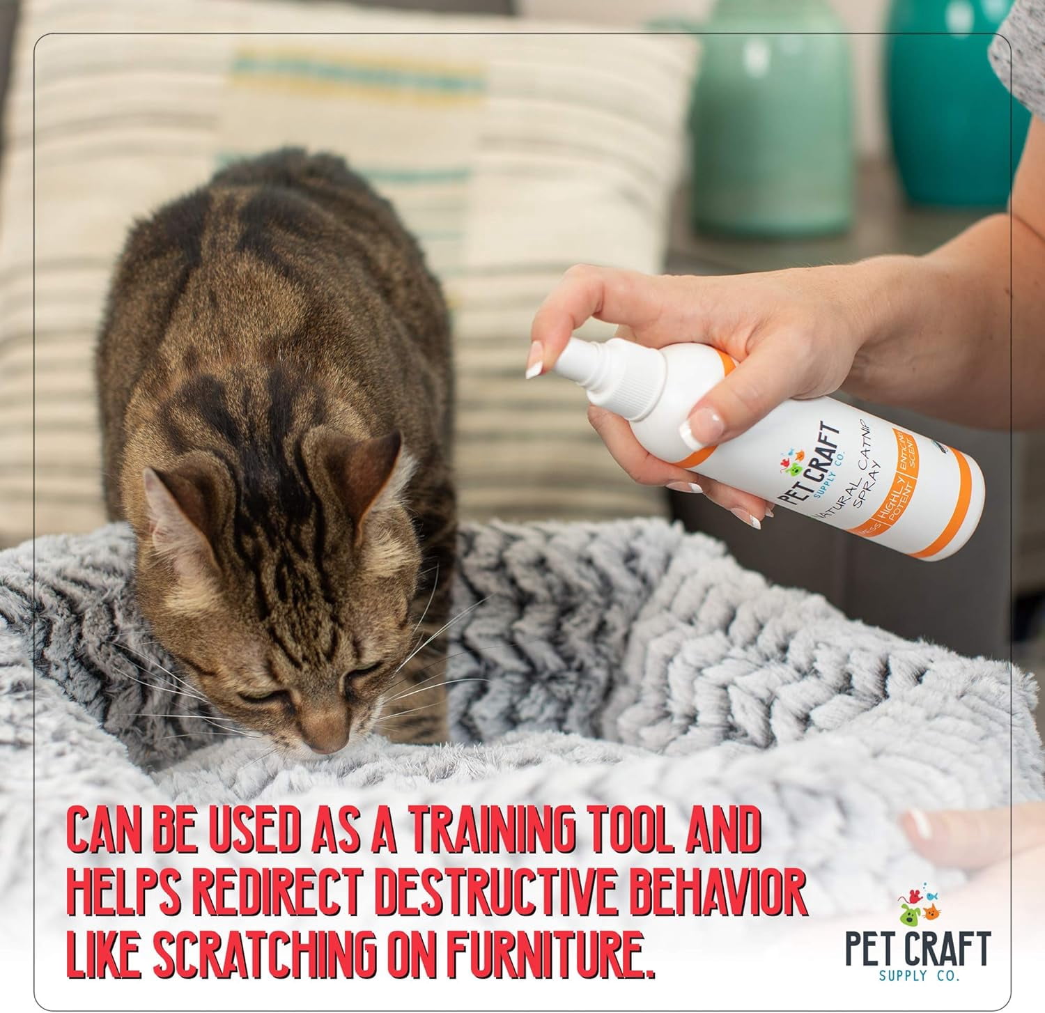 Pet Craft Supply Premium Maximum Potent All Natural Catnip for Cats, USA Grown & Harvested, 8 oz Value Spray Bottle