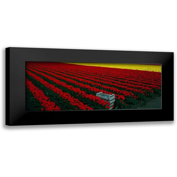 Leahy, Ike 14x8 Black Modern Framed Museum Art Print Titled - Spring Tulips