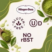 Haagen Dazs Matcha Green Tea Ice Cream, Gluten Free, Kosher, 1 Package, 14oz