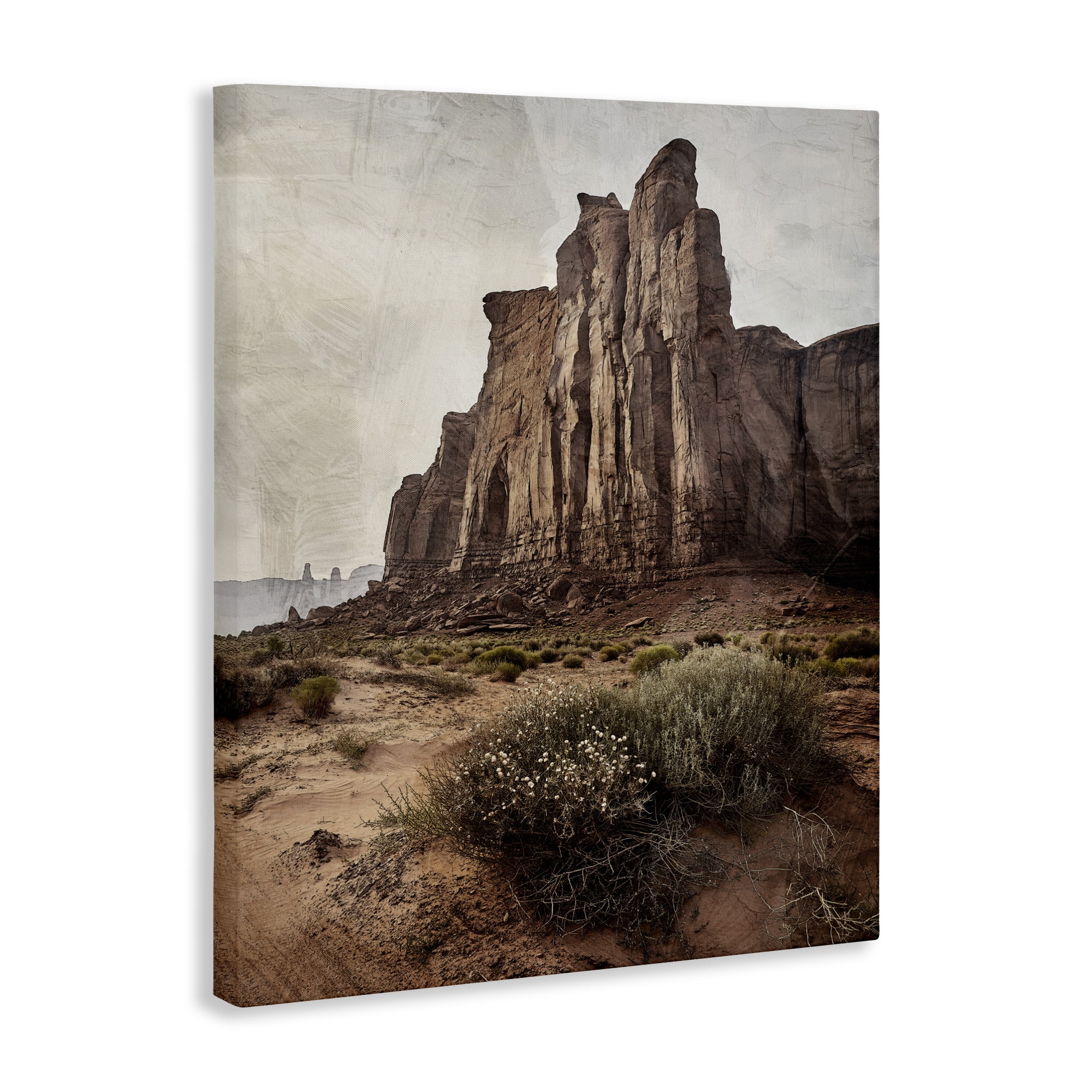 Stupell Industries Desolate Rock View Canvas Wall Art, design by Kim Allen