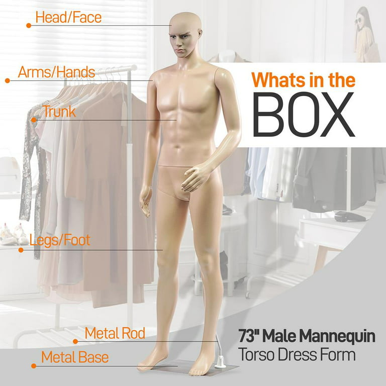 Male 3/4 Body Mannequin with Removable Arms
