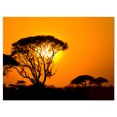 thumbnail image 2 of Beautiful African Sunset in Savannah - African Landscape Canvas Art Print, 2 of 3