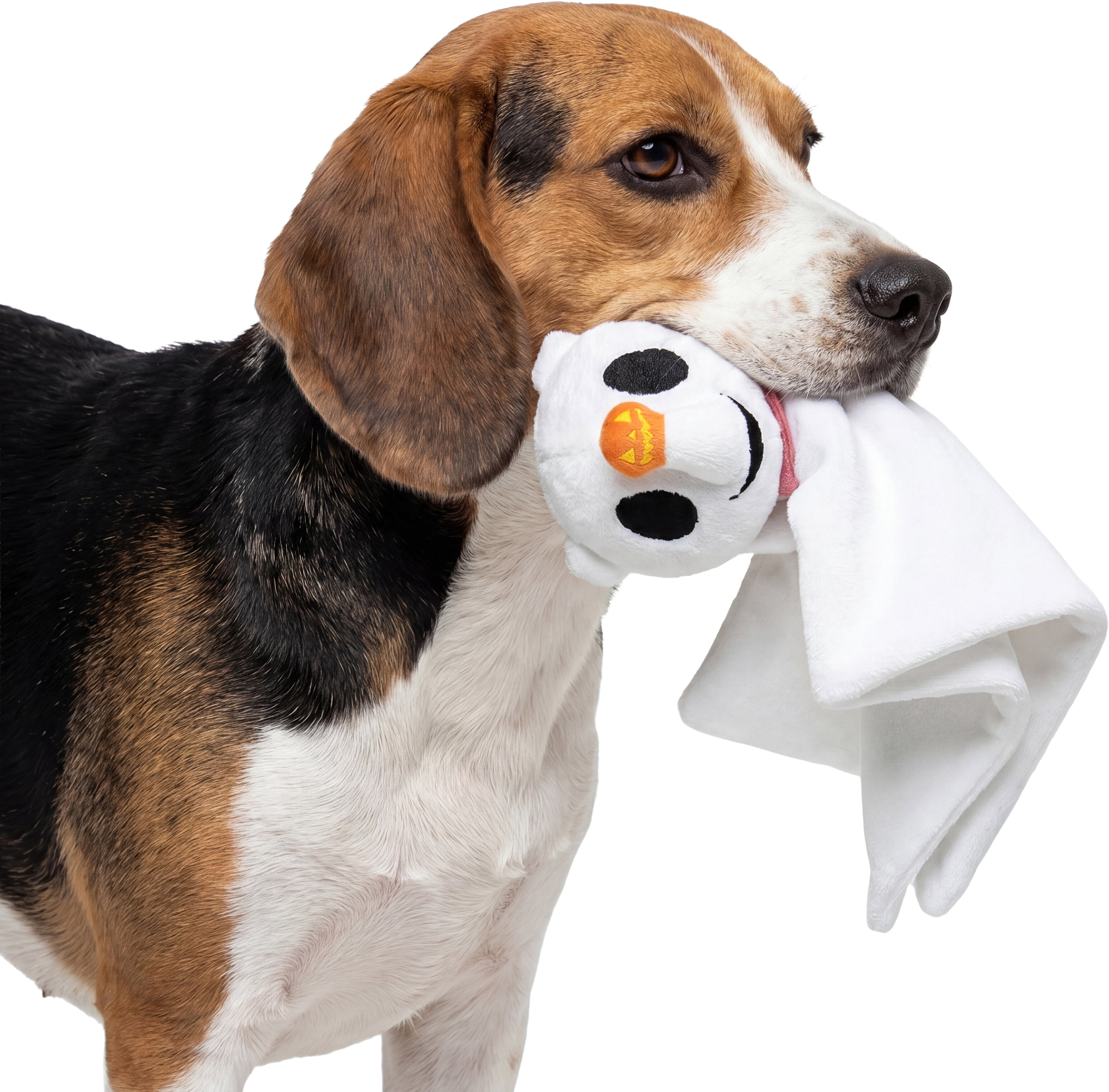 Disney Halloween Dog Toy, Nightmare before Christmas, Zero, Plush