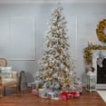 thumbnail image 2 of 9 ft. Pre Lit Cool White LED Lightly Flocked Snowbell Pine, 2 of 5