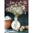 thumbnail image 4 of Serene Spaces Living Set of 6 Clear Ball Bud Vases, Transparent Glass Vases for Weddings, Events, Parties, Floral Centerpieces for Home Decor, Measures 4" Tall, 4 of 6
