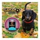 thumbnail image 4 of Alimento para Perro Ganador Premium Adul Pollo Cerdo 100 g, 4 of 4