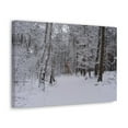 thumbnail image 5 of Forest Winter Tree Snow Nature Wilderness Photography Canvas Wall Art for Home Decor Ready-to-Hang, 5 of 18