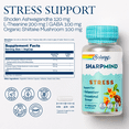 thumbnail image 2 of Solaray SharpMind Stress, Nootropic Mood Support Supplement, For Relaxation and Occasional Stress Relief Support, Adaptogen with Ashwagandha, L Theanine, 60 Day Money Guarantee, 30 Serv 30 VegCaps, 2 of 6