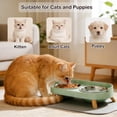 thumbnail image 6 of Elevated Cat Bowls with Food Mat, Splash Proof Anti Vomiting Raised Cat Food and Water Bowl Set, 2 Stainless Steel Dishes for Cats and Puppy, Pet Bowl for Indoor Cats White, 6 of 6