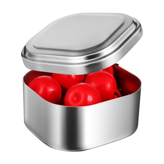 COMPUKAS Food Storage Box Silver Lunch Container for Families during Picnics and Camping 1Pack