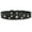 Black, variant on Genuine Leather Studded Dog Collar, Black, 1" Wide. Fits 13"-17.5" Neck Size