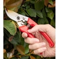 thumbnail image 3 of Professional Straight Tip Gardening Scissors for Picking Fruit, Tree and Flowers, 20cm, Red, 3 of 5