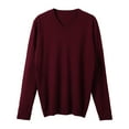thumbnail image 4 of Dpytoraw Autumn And Winter Men's Knitwear V Neck Slim Long Sleeved Sweater, 4 of 5