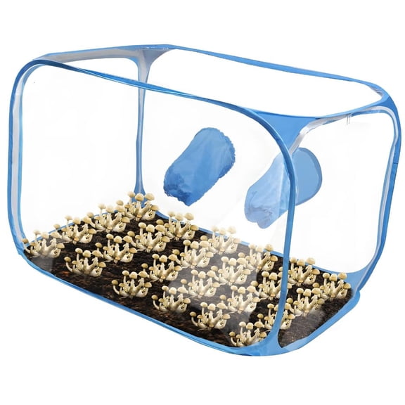 MOMOJIA Recyclable Mushroom Growing Chamber with Zippered Plan and Environmental Friendly Materials