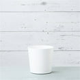 thumbnail image 4 of Root & Vessel Majestic Full Depth Cylinder Planter, White, 10", 4 of 5