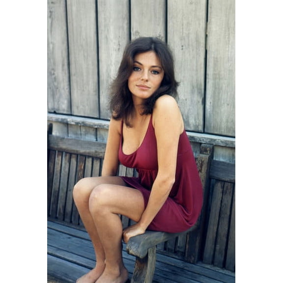 Jacqueline Bisset barefoot pin up low cut red dress 24x36 Poster