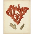 thumbnail image 3 of Vision Studio 20x24 Black Modern Framed Museum Art Print Titled - Antique Red Coral II, 3 of 5