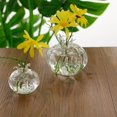 thumbnail image 4 of S Floreros de terrario de plantas decorativas de escritorio de vidrio con forma de Granada transparente, 4 of 5