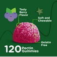 thumbnail image 6 of VITEEY Kids Zinc Gummies 15mg, Kids Immune Support Zinc Supplement, Berry Flavor, 120 CtVITEEY Kids Zinc Gummies 15mg, Kids Immune Support Zinc Supplement, Berry Flavor, 120 Ct, 6 of 7