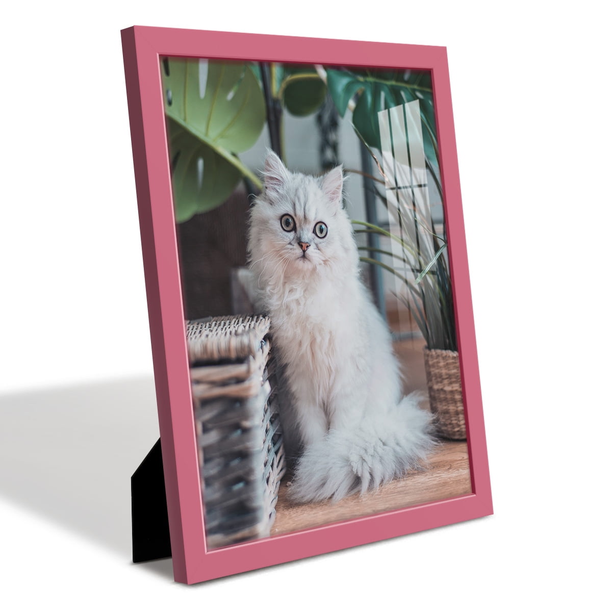 Modern 11 in. x 14 in. Hot Pink Picture Frame (Set of 4)