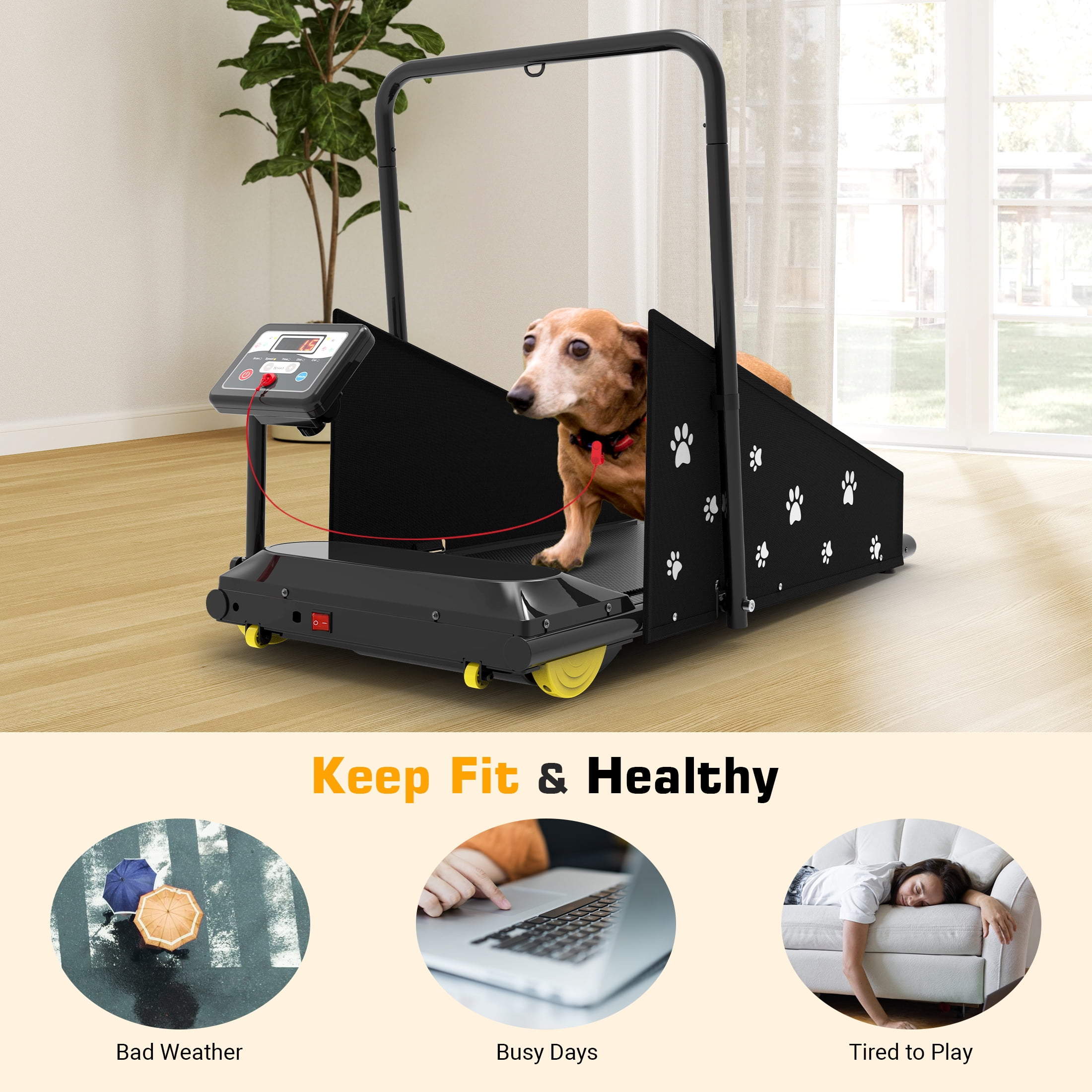 Hapycity Dog Treadmill, Indoor Pet Fitness Machine for Small & Medium Dogs, 265LB Capacity, LCD Display & Remote