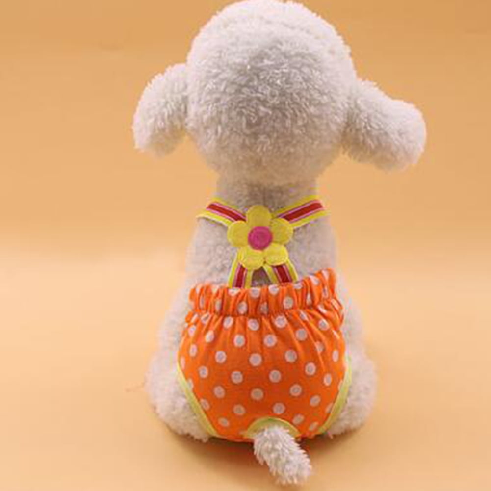 dog teddy for dog