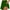 Womens Army Green Shorts, variant on UTSJKR Women's Athletic Skort High Waist Skirts with Shorts for Tennis Running Golf Workout Sports A-Line Pleated Activewear Skirt with Pockets