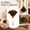 thumbnail image 4 of Feather Duster, Feather Dusters for Cleaning Fluffy Ostrich Feathers with Wooden Handle Reusable Handheld Ostrich Feather Duster Cleaning Supplies, 4 of 8