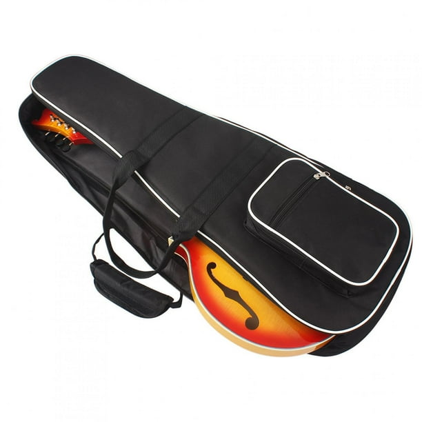Mandolin store gig bag