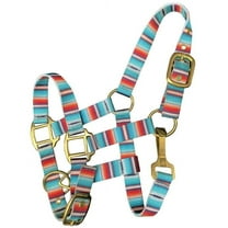 Showman Pony Nylon Halter w/ Teal Serape Print