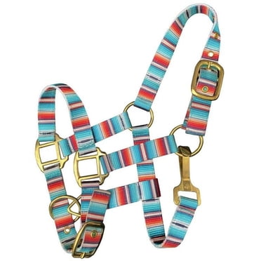 Showman Pony Nylon Halter w/ Teal Serape Print
