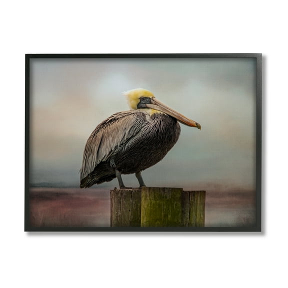 Stupell Pelican Perched Wildlife Nature Animals & Insects Photography Black Framed Art Print Wall Art