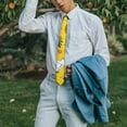 thumbnail image 3 of Rooster & Chicken Farm Themed Satin Necktie - Smooth Luxurious Wedding Groomsmen Tie + Gift Packaging, 3 of 3