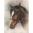 thumbnail image 2 of Besedina, Anastasiia 25x32 White Modern Wood Framed Museum Art Print Titled - Brown Horse, 2 of 4