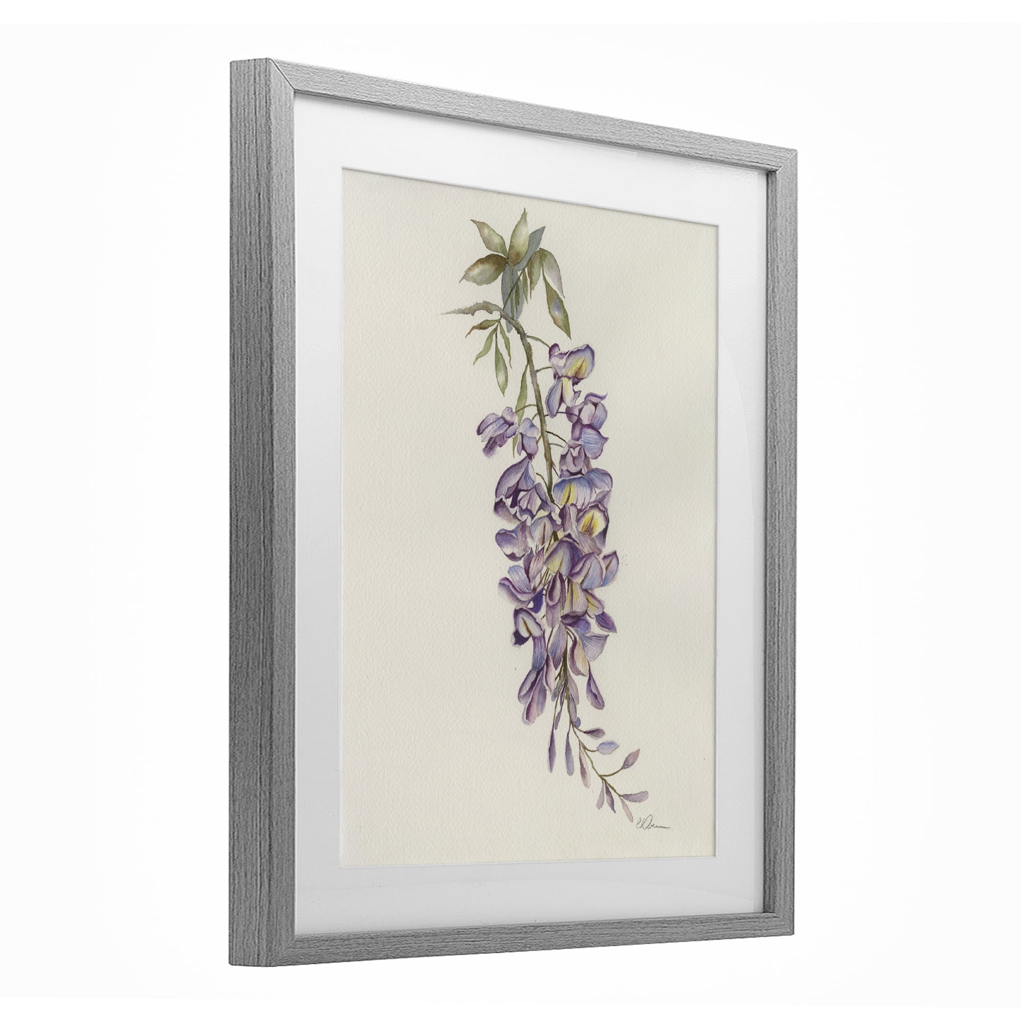 Stupell Industries Delicate Hyacinths Study Gray Framed Print Under Glass, design by Cady Driver