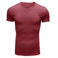 thumbnail image 2 of Camiseta de cuello en V ajustada para hombre: camiseta elástica de manga corta para culturismo, 95 % poliéster, 5 % elastano, tejido de canalé para el gimnasio y el entrenamiento., 2 of 6