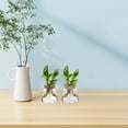thumbnail image 4 of RENACLIPY 3 Pcs Terrarium en Verre avec Couvercle Transparent Support de Rangement Moderne Décoration Maison, 4 of 6