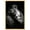 Gold Frame, variant on Resting Predator Canvas Animal Photography by Art Remedy, Gallery Wrapped, 20 x 30