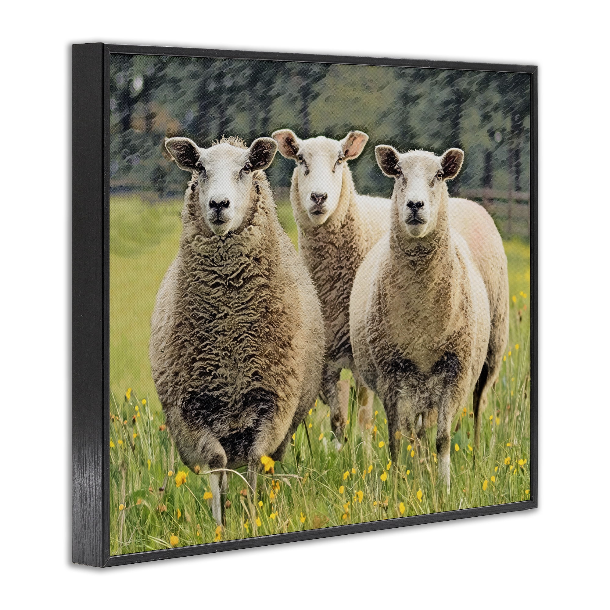Stupell Industries Sheep Grazing in Grass Animals & Insects Painting Black Framed Art Print Wall Art, 20 x 16