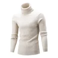 thumbnail image 1 of Suéter De Punto De Cuello Alto De Color Liso Unisex, 1 of 8