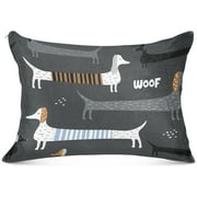 SKYSONIC Cute Dachshund Dog Zipped Plush Pillowcase, Soft Cozy Decorative Pillow Cover with Hidden Zipper for Bedroom, Sofa, Couch, King Size 20 x 40 Inch