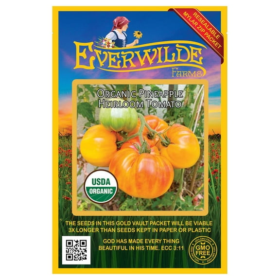 Everwilde Farms - 25 Organic Pineapple Heirloom Tomato Seeds - Gold Vault Jumbo Bulk Seed Packet