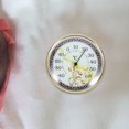 thumbnail image 4 of RENACLIPY Outdoor Thermometer Large Numbers Temperature Gauge PE Golden 1Pcs for Warehouse, 4 of 6