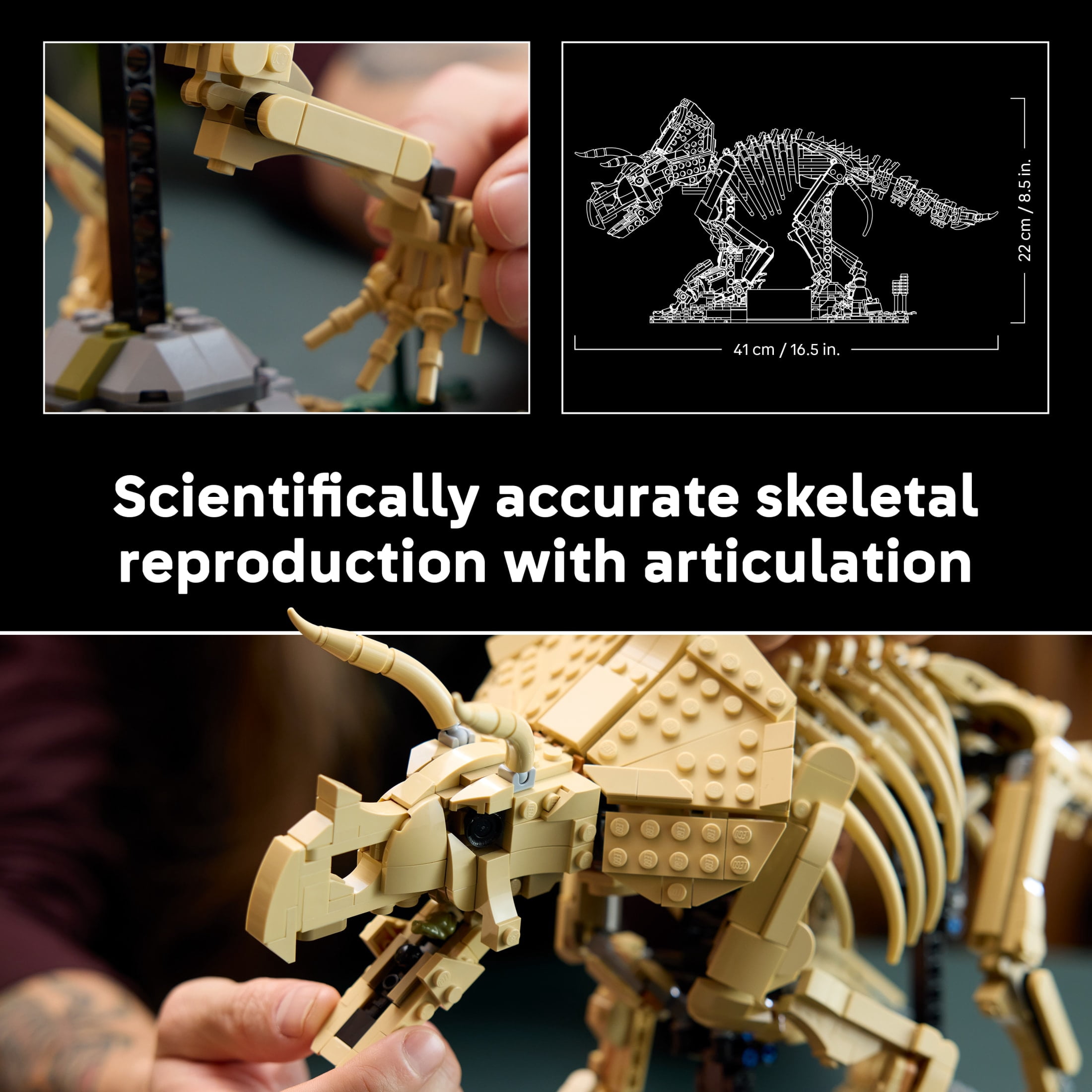 LEGO Jurassic World Dinosaur Fossils: Triceratops - Building Set for Adults, Ages 18+ - Posable Display for Home Office, Bedroom or Desk Décor - Gift for Men & Women - 77985