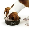 thumbnail image 2 of Stainless Steel Dog Bowl Non Skid Bottom Durable Dish Cute Fun Print 4 Sizes (Medium - 4 Cups), 2 of 6