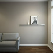Stainless Steel Floating Ledge Ultra Shelf Art Display Picture Ledge Modern 2" Deep 5 FT Long by 2" Wide