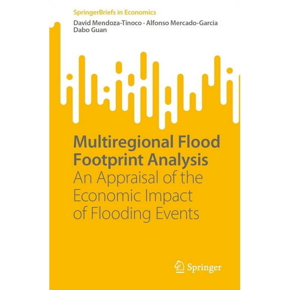 Springerbriefs in Economics Multiregional Flood Footprint Analysis: An Appraisal of the Economic Impact of Flooding Events, (Paperback)