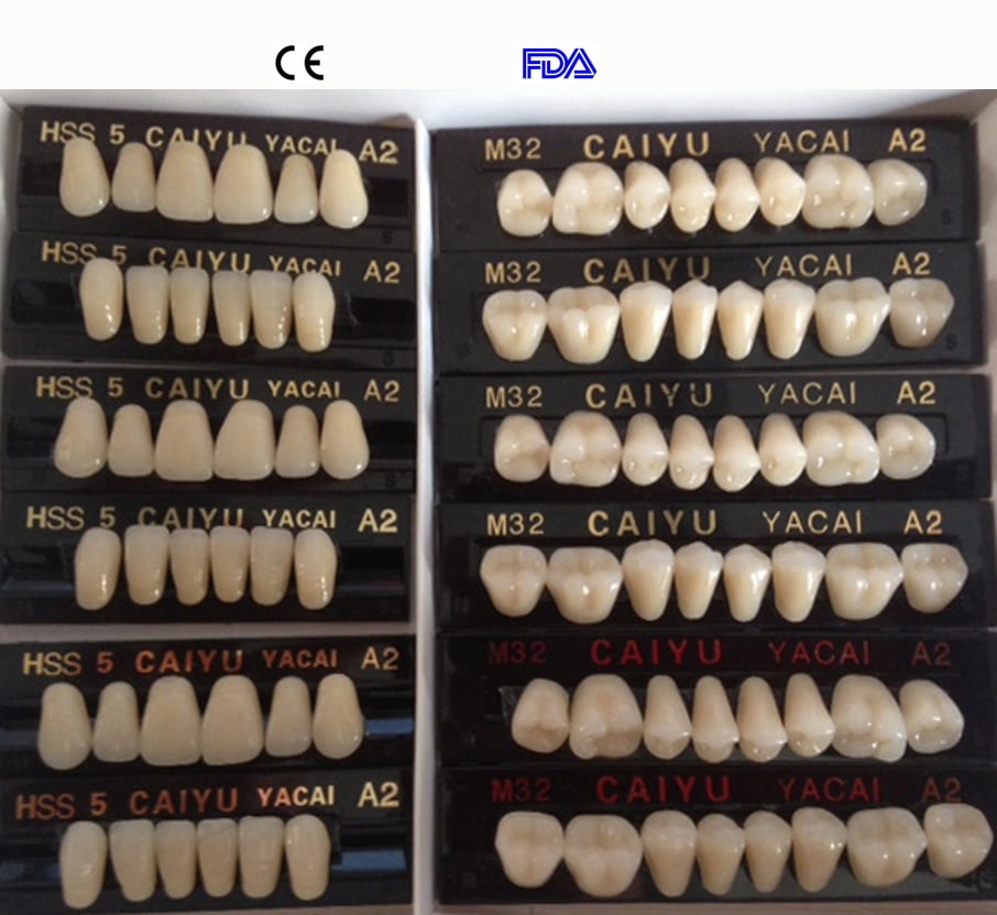 Denture Teeth Size Chart