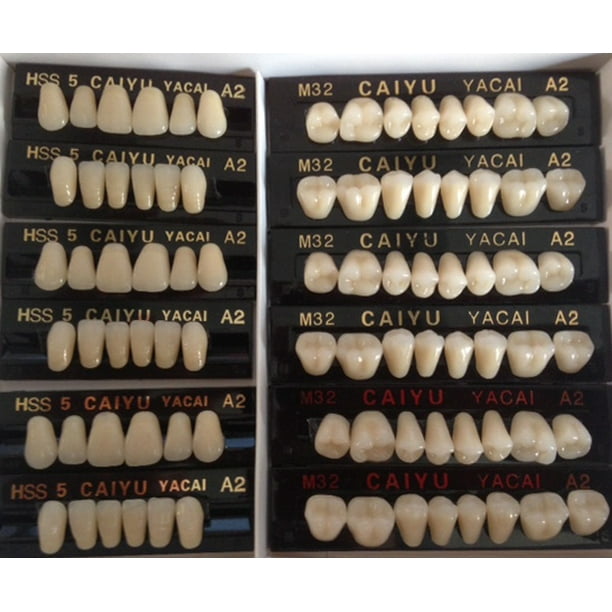 TEETH, Synthetic Polymer Resin Denture Teeth A2 Upper+Lower Dental 12